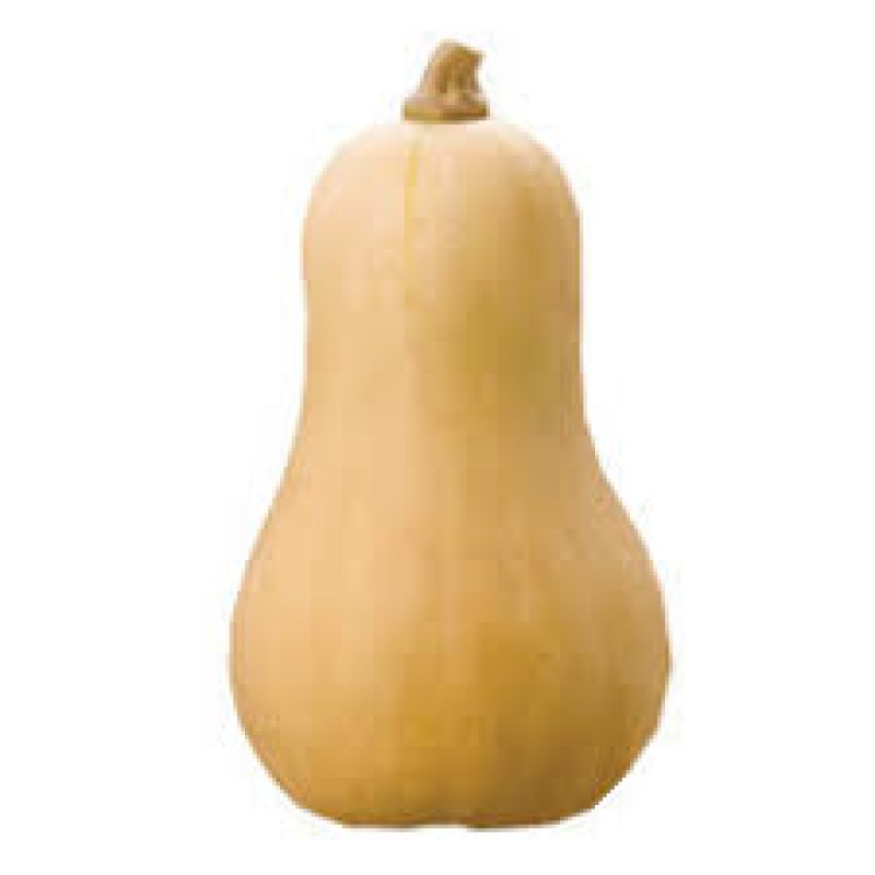 BUTTERNUT SQUASH PER 2LB